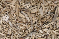 biomass boilers Odcombe